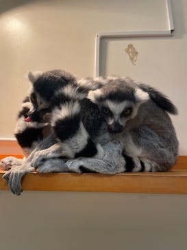 アニタッチららぽーと名古屋みなとアクルスに投稿された画像（2025/1/28）