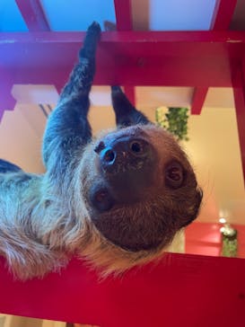 アニタッチららぽーと名古屋みなとアクルスに投稿された画像（2025/1/28）