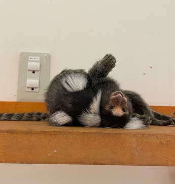 アニタッチららぽーと名古屋みなとアクルスに投稿された画像（2025/1/28）