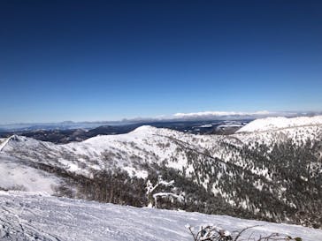 星野リゾート　トマムスキー場に投稿された画像（2025/1/29）