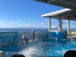 新江ノ島水族館に投稿された画像（2025/1/29）