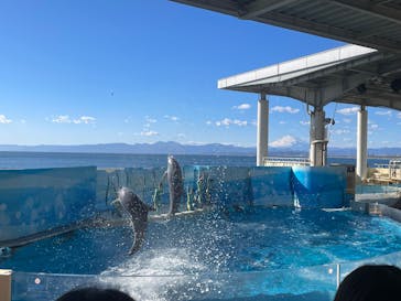新江ノ島水族館に投稿された画像（2025/1/29）