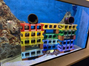 竹島水族館に投稿された画像（2025/1/29）