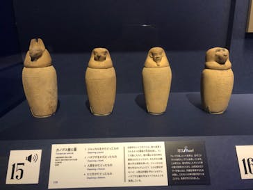 ブルックリン博物館所蔵 特別展 古代エジプトに投稿された画像（2025/1/29）