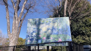 モネ 睡蓮のとき（国立西洋美術館）に投稿された画像（2025/1/29）