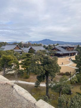 元離宮二条城に投稿された画像（2025/1/29）