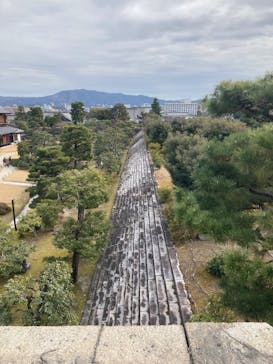 元離宮二条城に投稿された画像（2025/1/29）