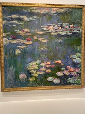 モネ 睡蓮のとき（国立西洋美術館）に投稿された画像（2025/1/29）