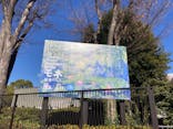 モネ 睡蓮のとき（国立西洋美術館）に投稿された画像（2025/1/29）