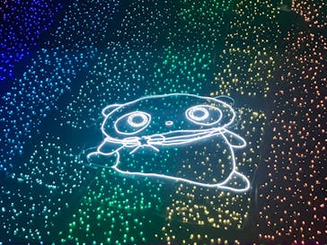 さがみ湖MORI MORIに投稿された画像（2025/1/29）