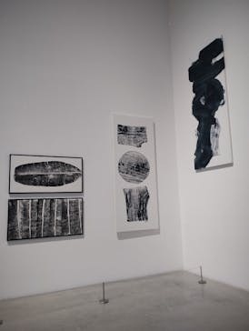 金沢21世紀美術館に投稿された画像（2025/1/29）