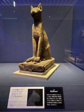 ブルックリン博物館所蔵 特別展 古代エジプトに投稿された画像（2025/1/29）