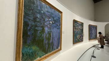 モネ 睡蓮のとき（国立西洋美術館）に投稿された画像（2025/1/29）