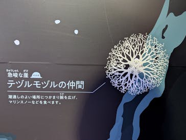 新江ノ島水族館に投稿された画像（2025/1/29）