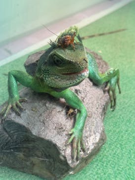 名古屋市東山動植物園に投稿された画像（2025/1/29）