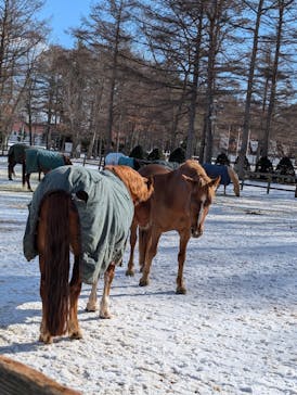 ノーザンホースパークに投稿された画像（2025/1/29）