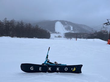 湯の丸スキー場に投稿された画像（2025/1/29）