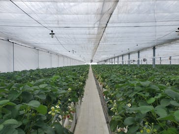 株式会社こまち野に投稿された画像（2025/1/29）