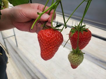 株式会社こまち野に投稿された画像（2025/1/29）