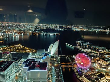 横浜ランドマークタワー 69階展望フロア スカイガーデンに投稿された画像（2025/1/29）