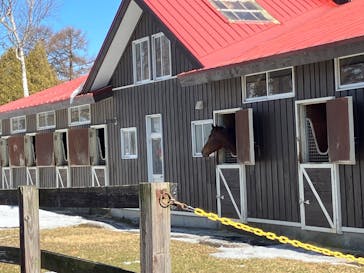 ノーザンホースパークに投稿された画像（2025/1/29）