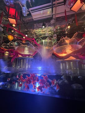 UWS AQUARIUM GA☆KYOに投稿された画像（2025/1/29）