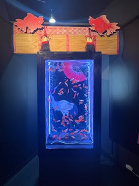 UWS AQUARIUM GA☆KYOに投稿された画像（2025/1/29）