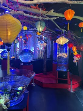 UWS AQUARIUM GA☆KYOに投稿された画像（2025/1/29）