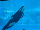 名古屋港水族館に投稿された画像（2025/1/30）