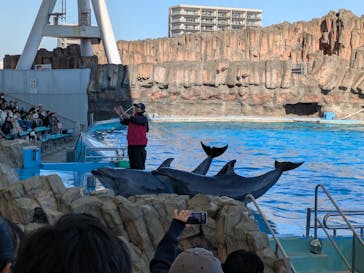 名古屋港水族館に投稿された画像（2025/1/30）