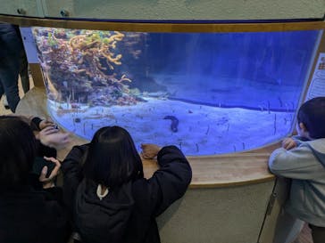 名古屋港水族館に投稿された画像（2025/1/30）