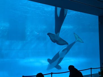 名古屋港水族館に投稿された画像（2025/1/30）