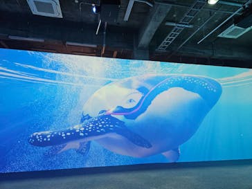 動き出す浮世絵展 TOKYOに投稿された画像（2025/1/30）