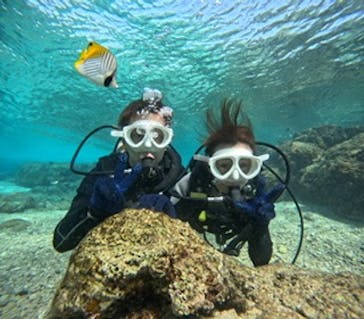 沖縄マリンサービス碧に投稿された画像（2025/1/30）