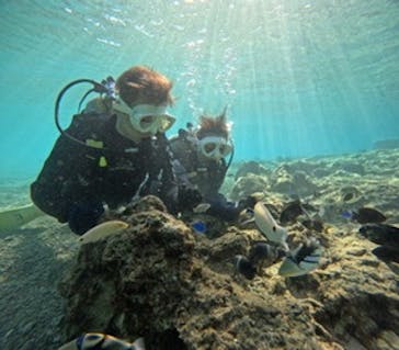 沖縄マリンサービス碧に投稿された画像（2025/1/30）