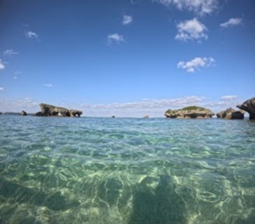 沖縄マリンサービス碧に投稿された画像（2025/1/30）