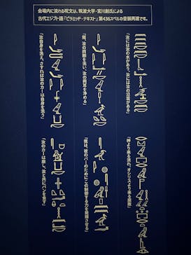 ブルックリン博物館所蔵 特別展 古代エジプトに投稿された画像（2025/1/30）