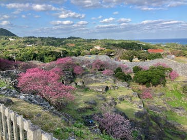 今帰仁城跡に投稿された画像（2025/1/30）