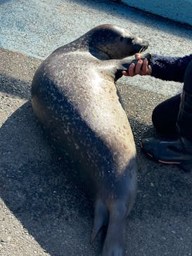 東武動物公園に投稿された画像（2025/1/30）