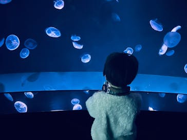 サンシャイン水族館に投稿された画像（2025/1/30）