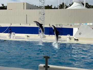 鴨川シーワールドに投稿された画像（2025/1/30）