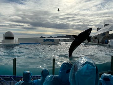 鴨川シーワールドに投稿された画像（2025/1/30）