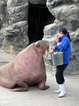 鴨川シーワールドに投稿された画像（2025/1/30）