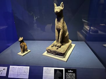 ブルックリン博物館所蔵 特別展 古代エジプトに投稿された画像（2025/1/30）