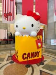 Hello Kitty展 わたしが変わるとキティも変わるに投稿された画像（2025/1/30）
