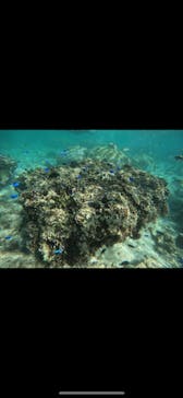 武藤潜水に投稿された画像（2025/1/30）