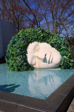 彫刻の森美術館に投稿された画像（2025/1/30）