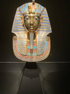 MYSTERY OF TUTANKHAMEN 体感型古代エジプト展に投稿された画像（2025/1/30）