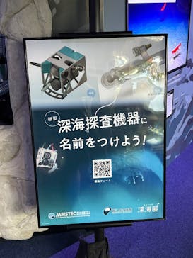 新江ノ島水族館に投稿された画像（2025/1/30）