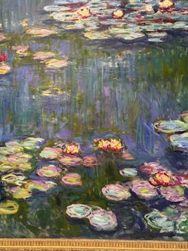 モネ 睡蓮のとき（国立西洋美術館）に投稿された画像（2025/1/30）